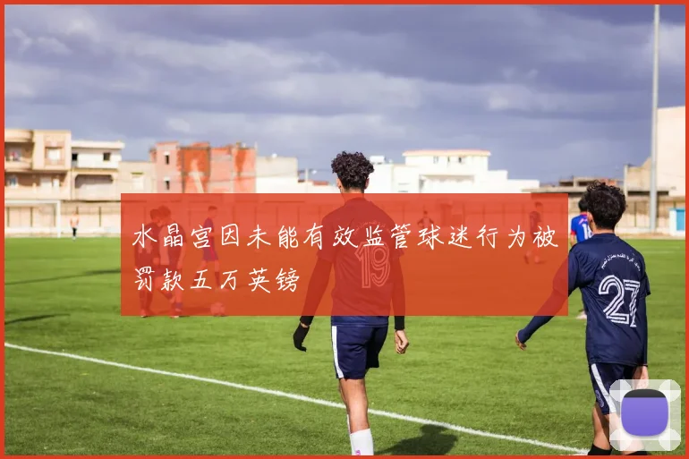 水晶宫因未能有效监管球迷行为被罚款五万英镑